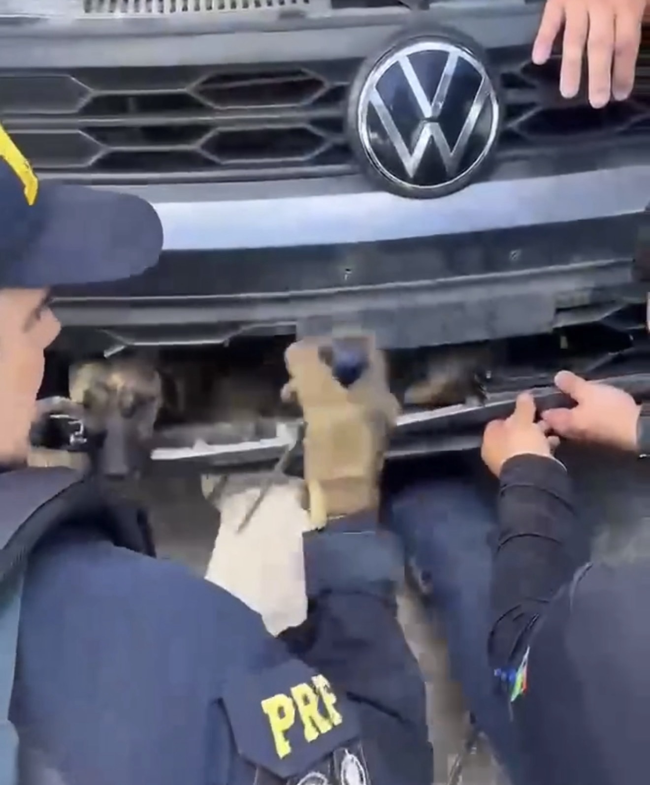 Resgate inusitado na BR-101: PRF salva cachorro preso em para-choque de carro em São José de Mipibu