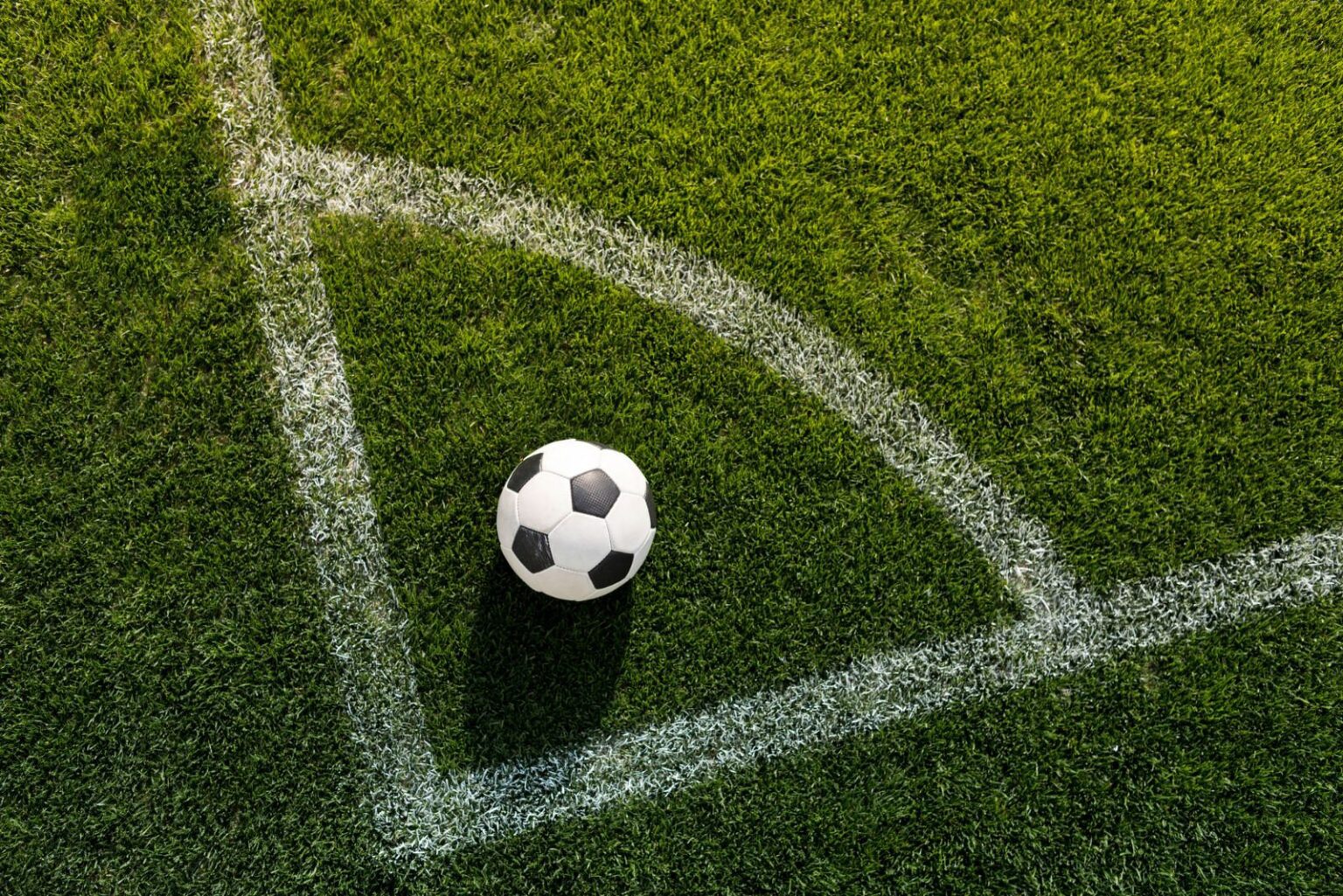 MPRN suspende torcida organizada do América por sete jogos após agressão a pessoa idosa