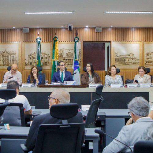 Câmara debate acesso às Práticas Integrativas e Complementares em Saúde em Natal