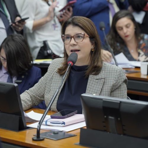 “Os pescadores foram enganados pelo Governo Federal”, dispara Carla Dickson na Comissão Mista do Seguro-Defeso