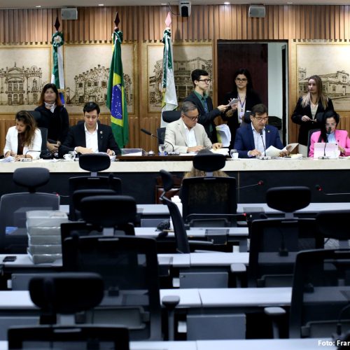 CCJ da Câmara de Natal aprova pareceres a projetos sobre consumo e proteção de crianças