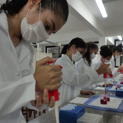 Avaliação da Capes consolida a UnP como referência em pesquisas em biotecnologia