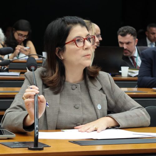 Carla Dickson aprova projeto que fortalece setor hoteleiro e turismo do RN