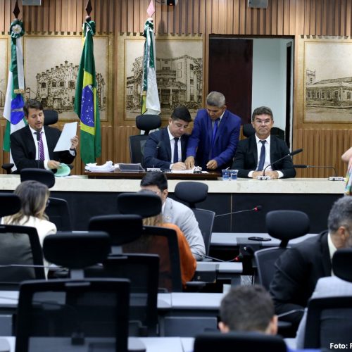 Projetos sobre microcervejarias, saúde e bem-estar animal avançam na Câmara