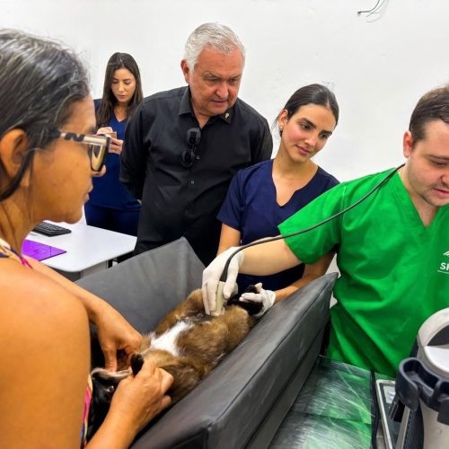 Com recursos destinados pelo General Girão, Natal avança na construção de seu segundo Hospital Veterinário