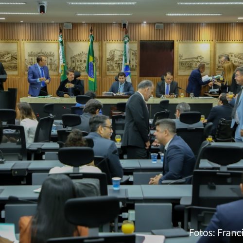 Saúde mental e reconhecimento de entidades marcam sessão na Câmara