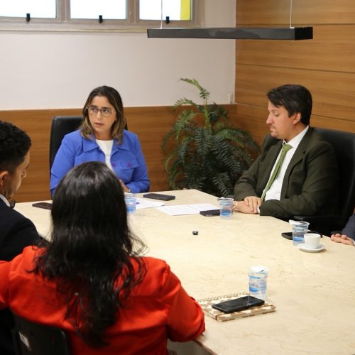 Comissão define cronograma para concluir processo contra Brisa Bracchi até março