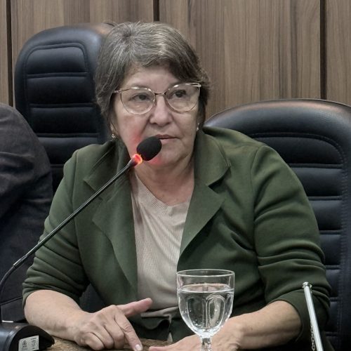 Vereadora Rosiane Soares em requerimento solicita sinalização com “Olhos de Gato” e serviços de limpeza nas ruas de João Câmara