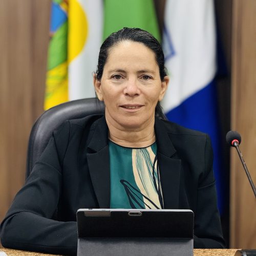 Vereadora Irani Antunes solicita conclusão da pavimentação da Rua Antônio Proença e beneficia comunidades no entorno da BR-406