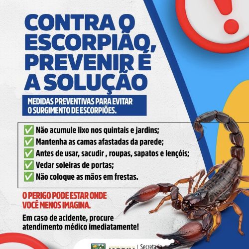 Prefeitura de Jardim de Angicos alerta população sobre aumento de escorpiões e reforça medidas de prevenção