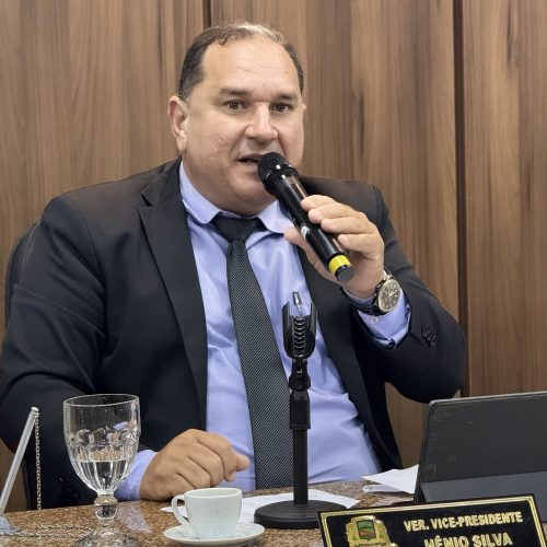 De autoria do vereador Hênio Silva, Lei que cria Programa de Fomento à Apicultura é sancionada pela prefeita Aize