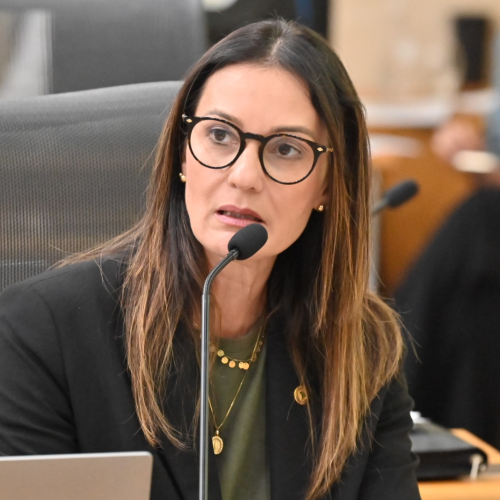 Lei da deputada Cristiane Dantas que protege animais é sancionada pelo Governo