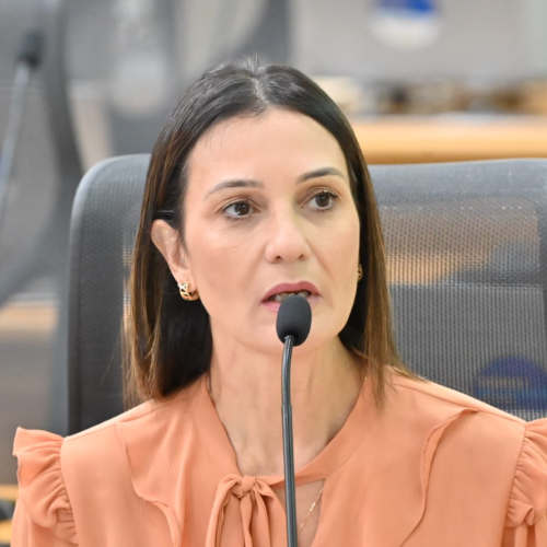 Cristiane Dantas anuncia encontro para fortalecer procuradorias da mulher no RN
