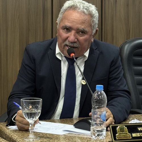 Vereador Mestre Raimundo solicita fonte luminosa da praça Monsenhor Freitas e duplicação da BR-406