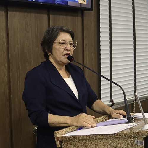 Vereadora Rosiane Soares apresenta duas indicações: Incentivo às empresas e pavimentação da Rua Antônio Proença