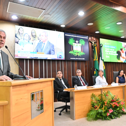 Hermano Morais faz sessão solene em homenagem à Semana da Adoção