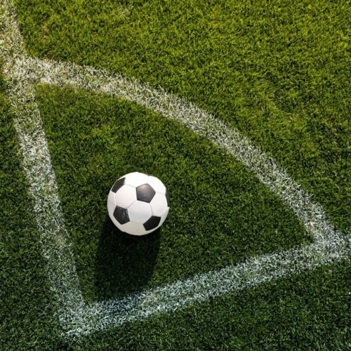 MPRN suspende torcida organizada do América por sete jogos após agressão a pessoa idosa