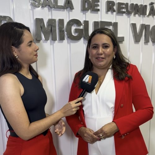 Em primeira Sessão Ordinária do ano, vereadora Jeska Fernandes apresenta várias proposituras