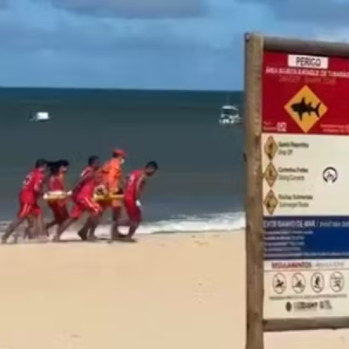 Menino de 11 anos é atacado por tubarão em praia de Pernambuco e passa por cirurgia
