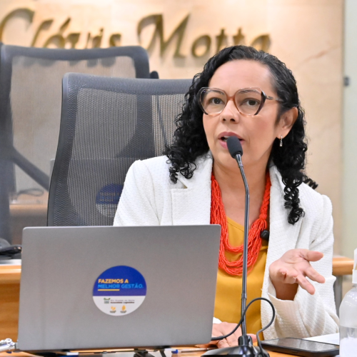 Divaneide Basílio destaca ação do Estado nas chuvas e registra proposições