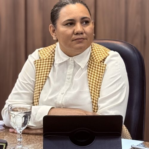 Vereadora Jeska Fernandes apresenta indicação e requerimento em benefício da saúde e da infraestrutura de João Câmara