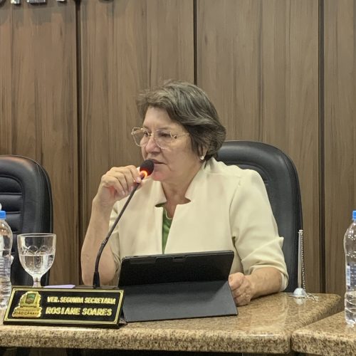 Vereadora Rosiane Soares em requerimentos, solicita praça no Matão dos Aristides e pavimentação no Bela Vista