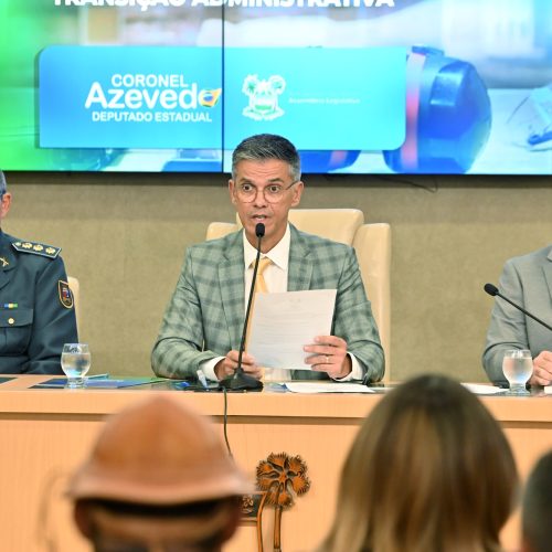 Audiência cobra celeridade e critérios objetivos para registros de armas legais