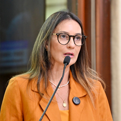 Cristiane Dantas defende centro de referência para doenças raras em Natal