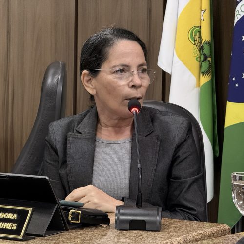 Vereadora Irani Antunes apresenta indicação para implantação de plantão na Farmácia Municipal aos finais de semana e feriados em João Câmara