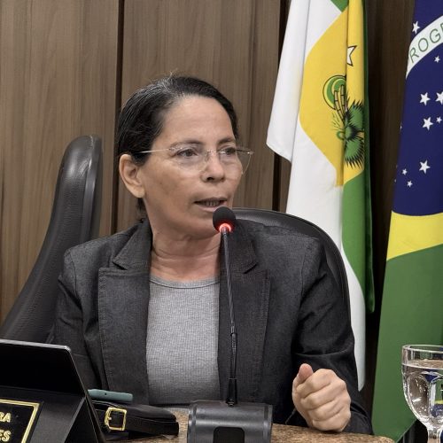 Vereadora Irani Antunes solicita pavimentação da Rua José Xavier, no Planalto