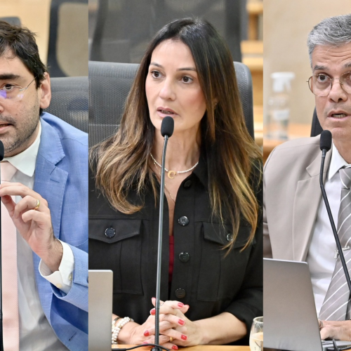 Deputados debatem saúde pública, empreendedorismo e emendas parlamentares